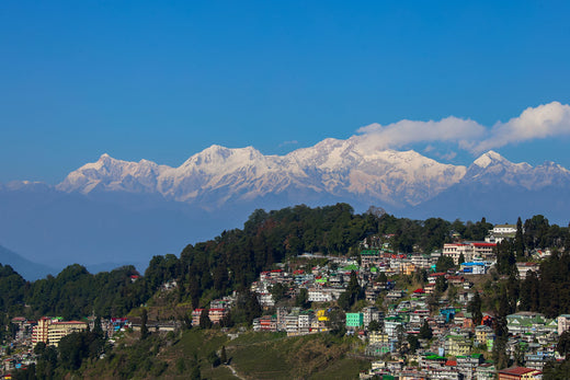 Darjeeling Stadt vor dem Himalaya-Gebirge